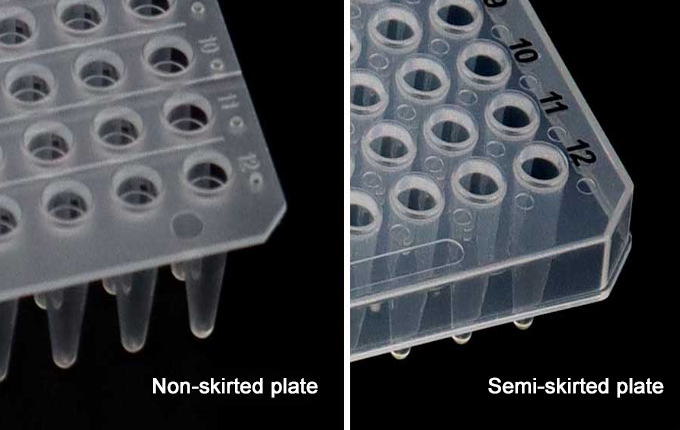 PCR Plate (2)