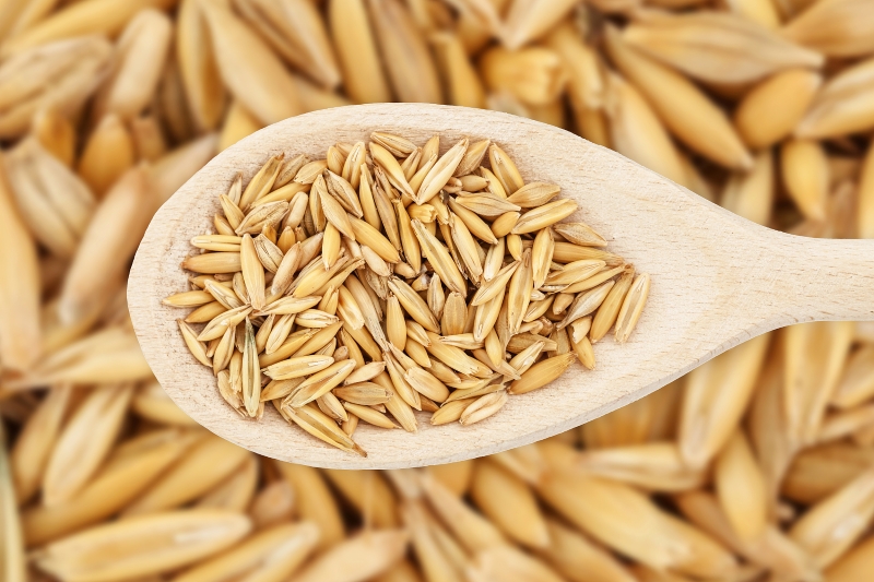 Oat Grains