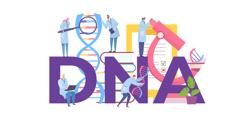 DNA