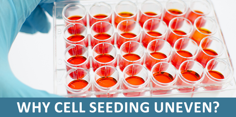 Why cell seeding uneven