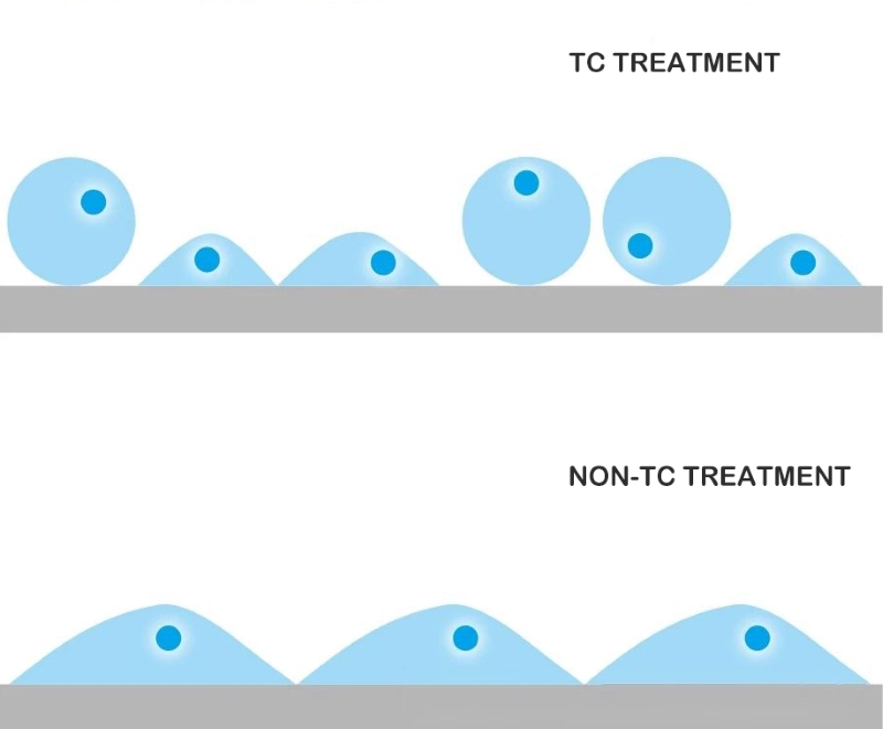 TC or Non-TC