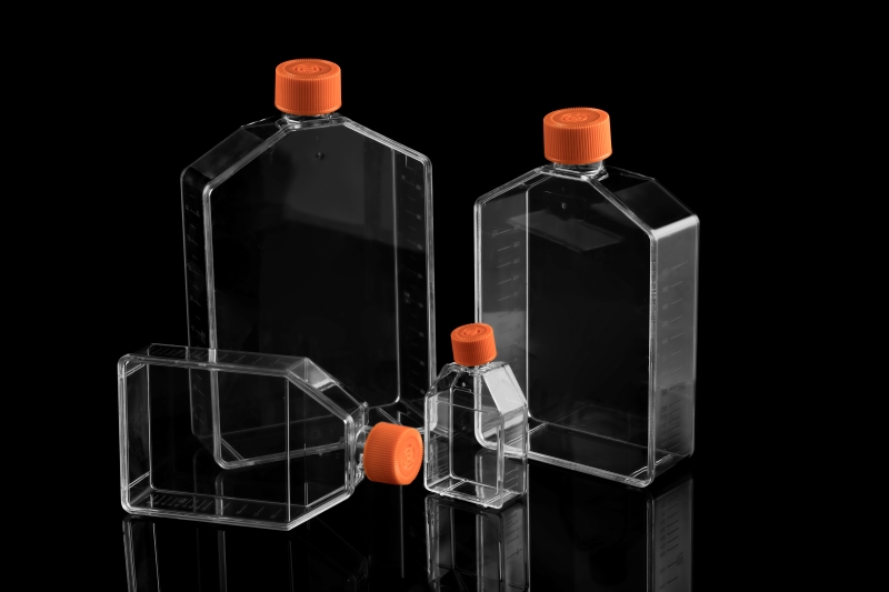 Cell culture flasks